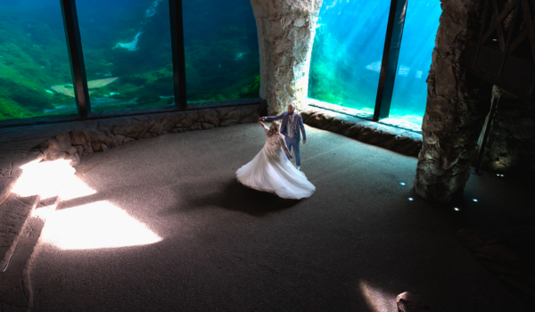 mariage - robe de mariée - pairi daiza - danse - couple - séance couple - day after